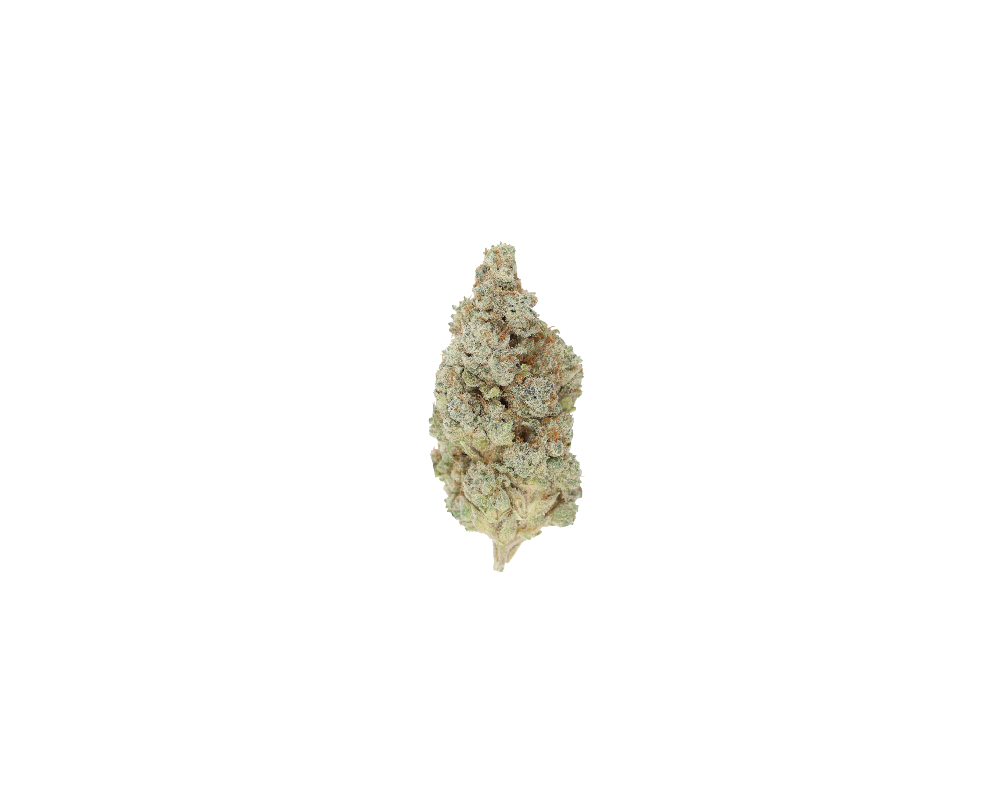 Pineapple Express Sativa Cannabis Flower Pineapple Express Sativa Cannabis Flower