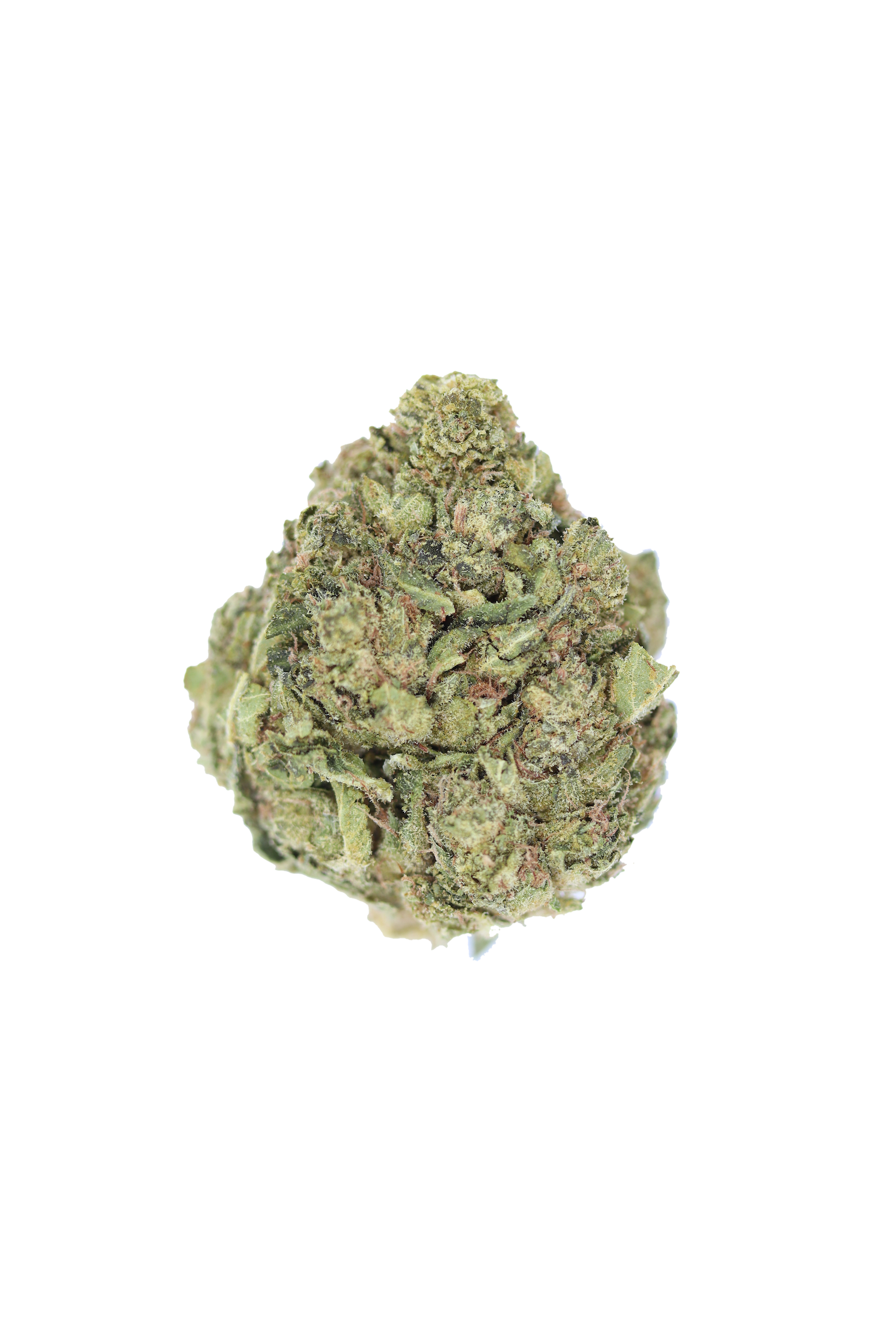 Pink Panties Indica anxiety Pink Panties Indica anxiety