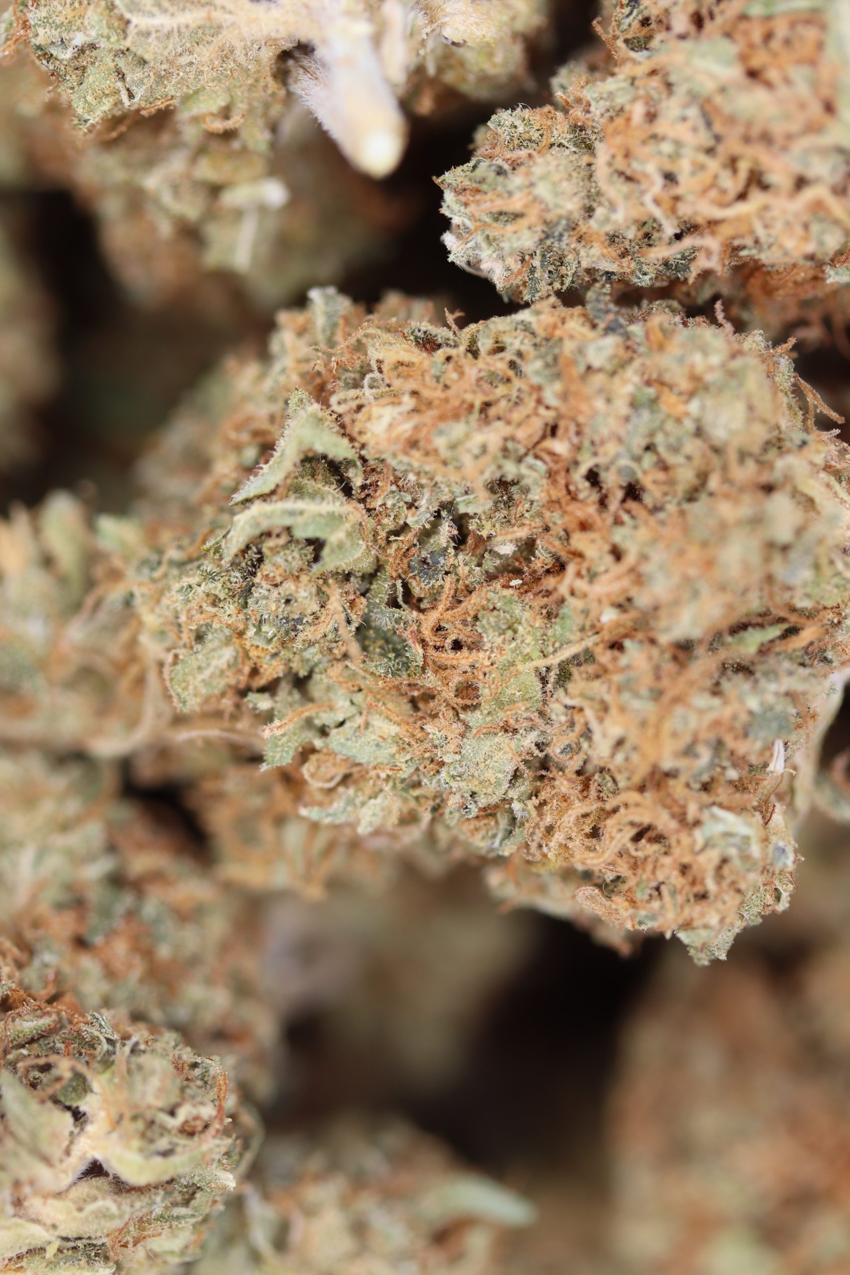 Sour Diesel All Strains Cannabis Flower Sour Diesel All Strains Cannabis Flower