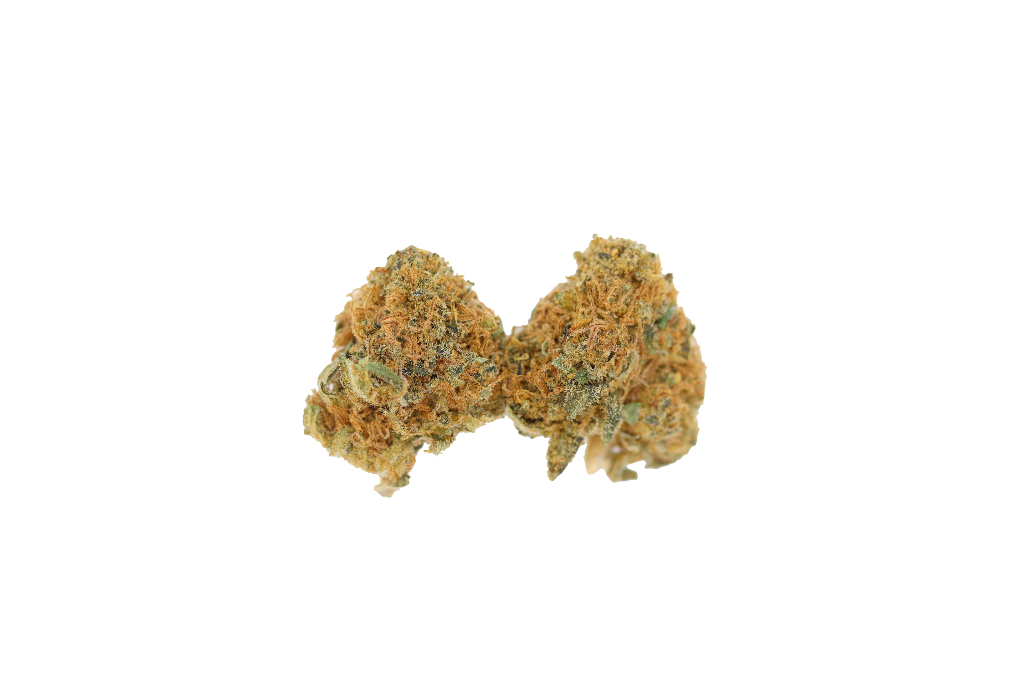 Sour Diesel Small (1/2lb) Bulk Cannabis Flower Sour Diesel Small (1/2lb) Bulk Cannabis Flower