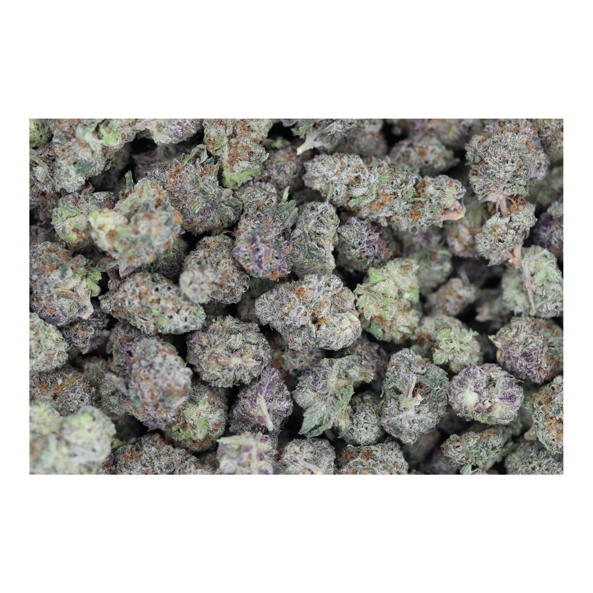 OMFG Smalls (1/2lb) Wholesale Flower bulk OMFG Smalls (1/2lb) Wholesale Flower bulk