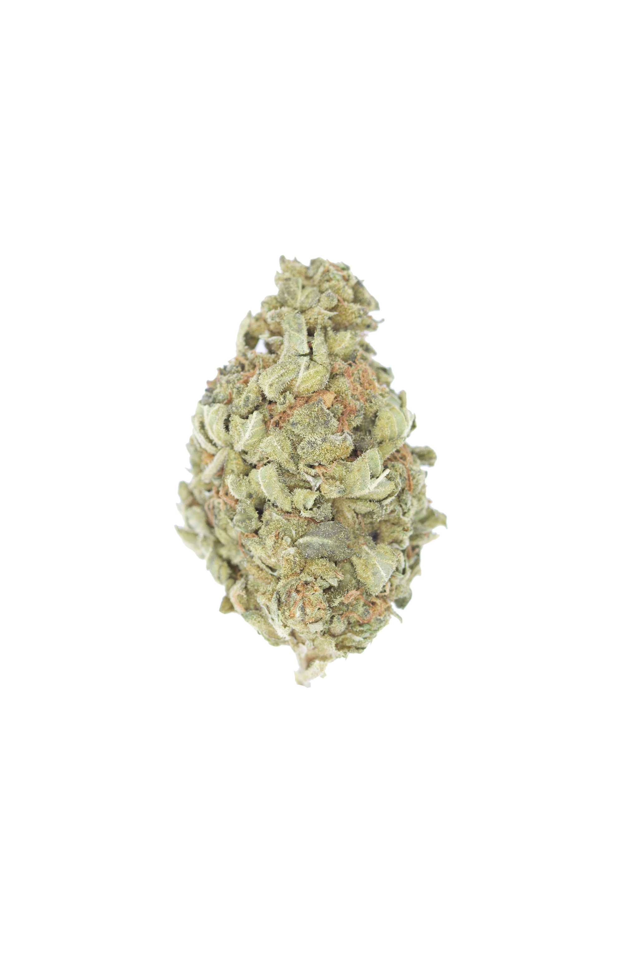 Hindu Indica anti-anxiety Hindu Indica anti-anxiety