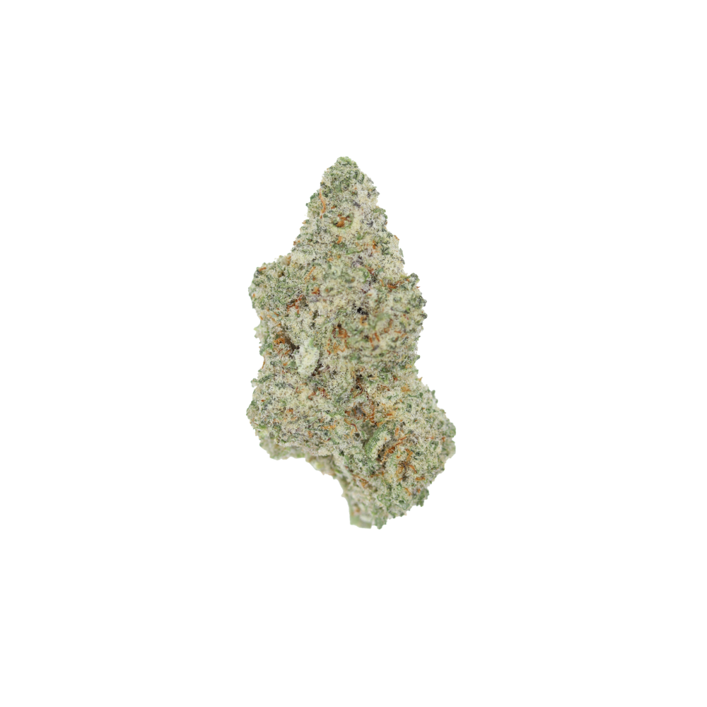 Sativa