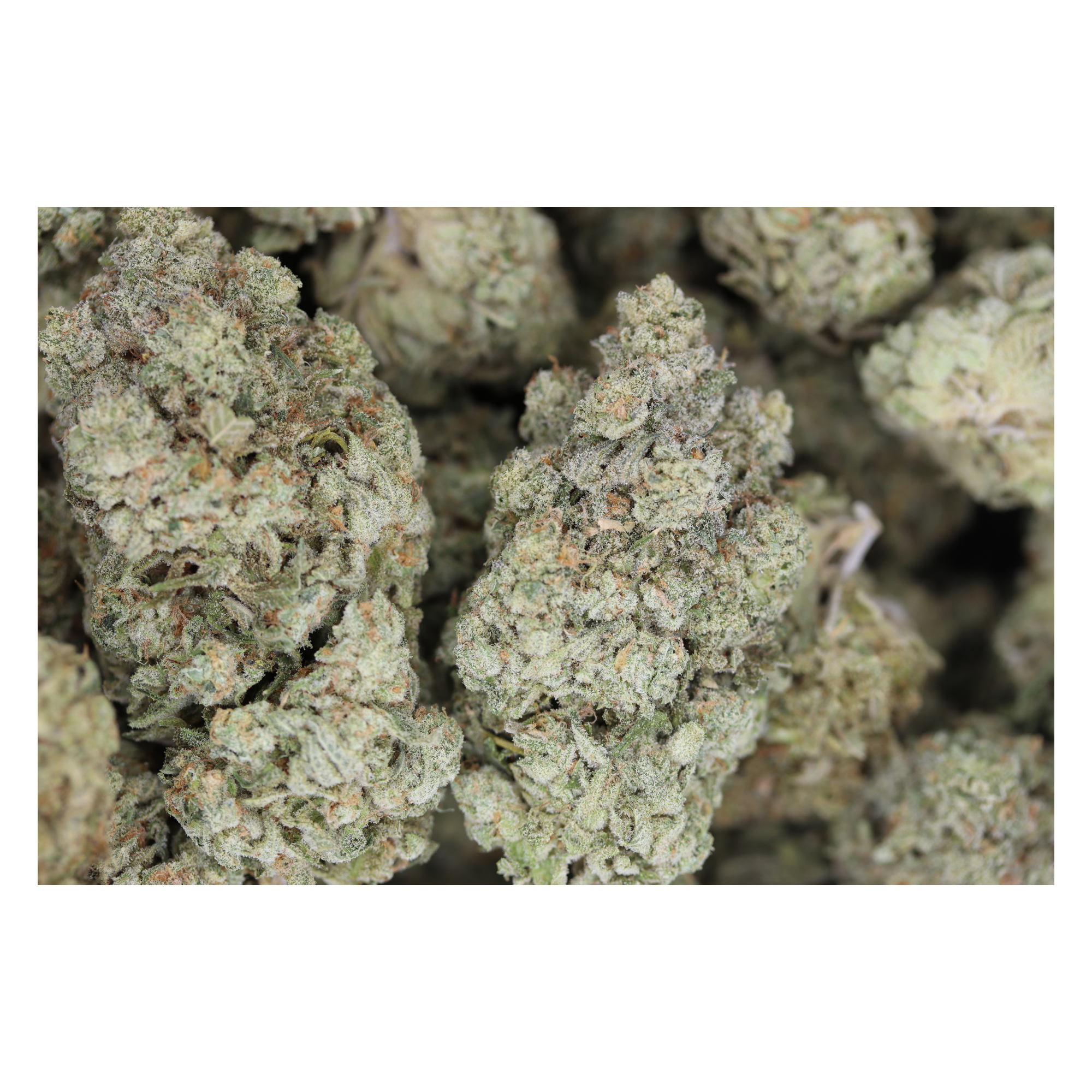 White Rhino Hybrid Anxiety Relief White Rhino Hybrid Anxiety Relief