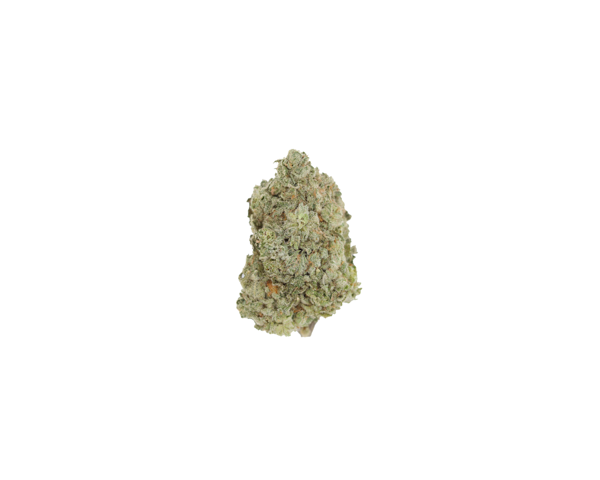 White Rhino Hybrid Anxiety Relief White Rhino Hybrid Anxiety Relief