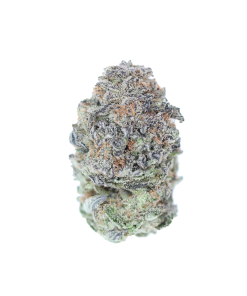 buy granola funk onlione