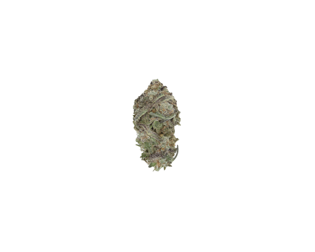 Tangerine Dream All Strains Appetite Boost Tangerine Dream All Strains Appetite Boost