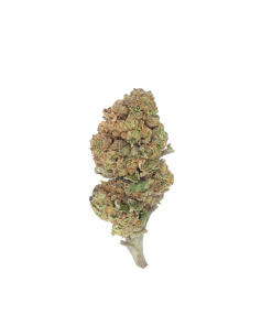 Buy Amnesia Haze Online
