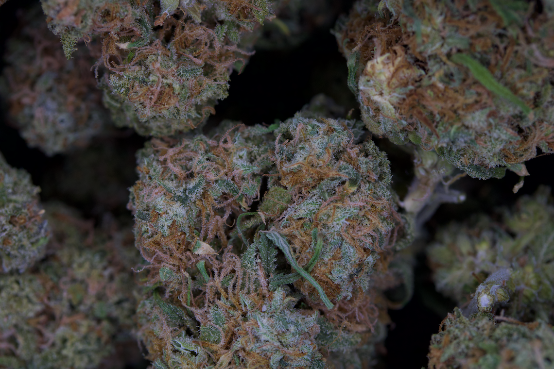 Black Domina Indica anxiety Black Domina Indica anxiety