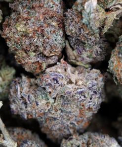 Buy Blueberry OG Online