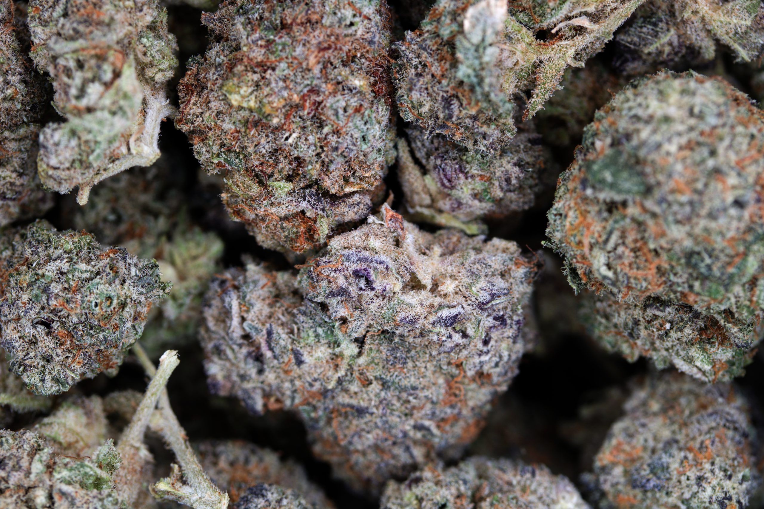 Blueberry OG (Bulk) Wholesale Flower anxiety Blueberry OG (Bulk) Wholesale Flower anxiety
