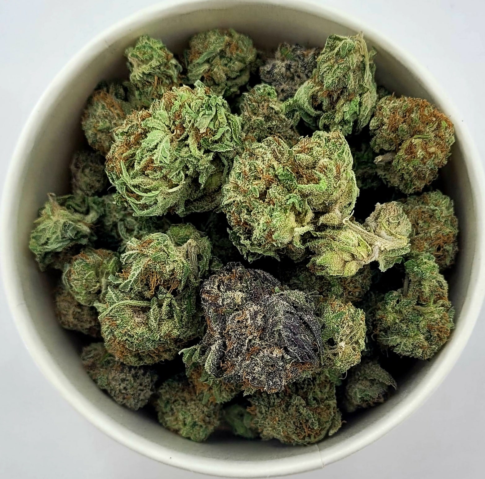 Gods Green Crack (Oz Special) Hybrid anxiety Gods Green Crack (Oz Special) Hybrid anxiety