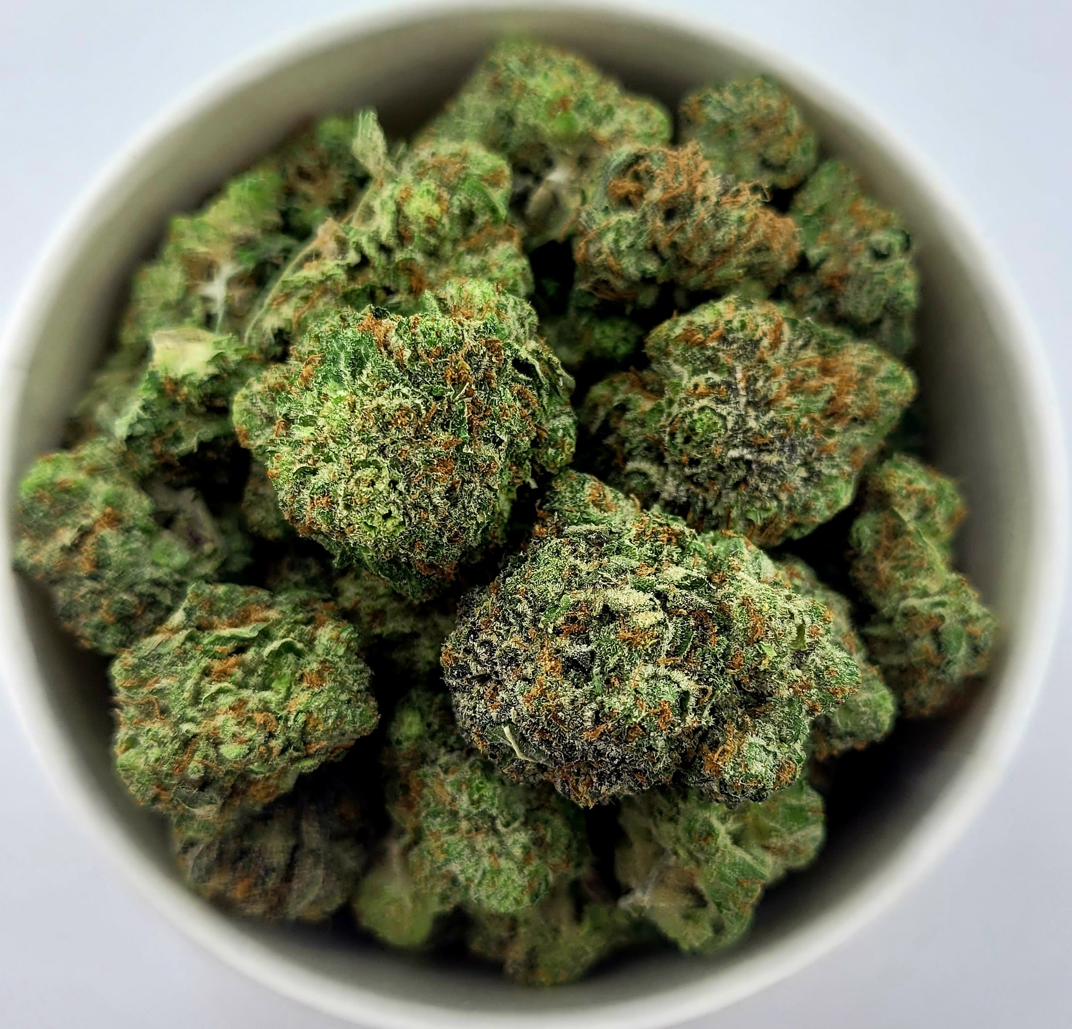 Gelato AAAA Smalls (Oz Special) Hybrid anxiety Gelato AAAA Smalls (Oz Special) Hybrid anxiety