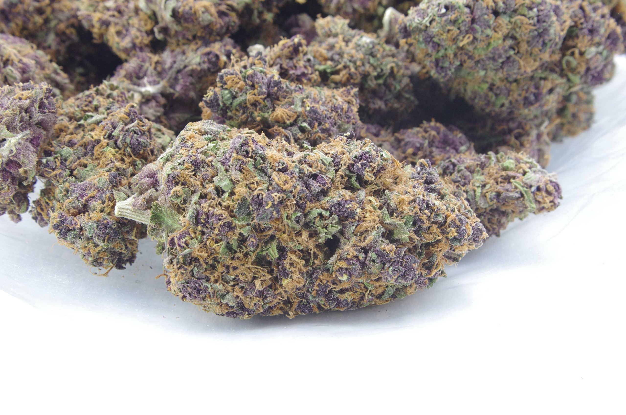 Purple Chocolate (3.5G) Sativa anti-anxiety Purple Chocolate (3.5G) Sativa anti-anxiety