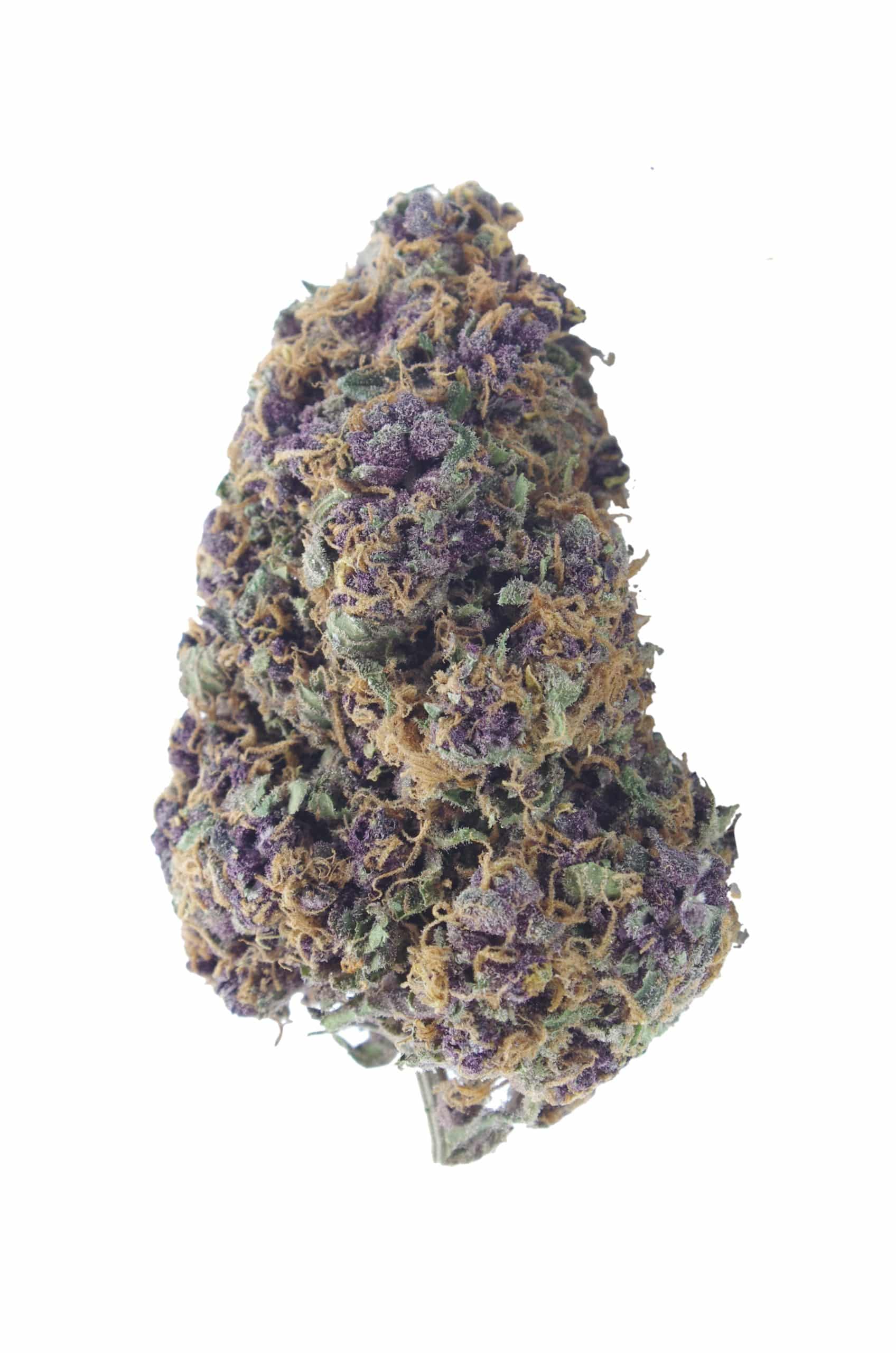 Purple Chocolate (3.5G) Sativa anti-anxiety Purple Chocolate (3.5G) Sativa anti-anxiety