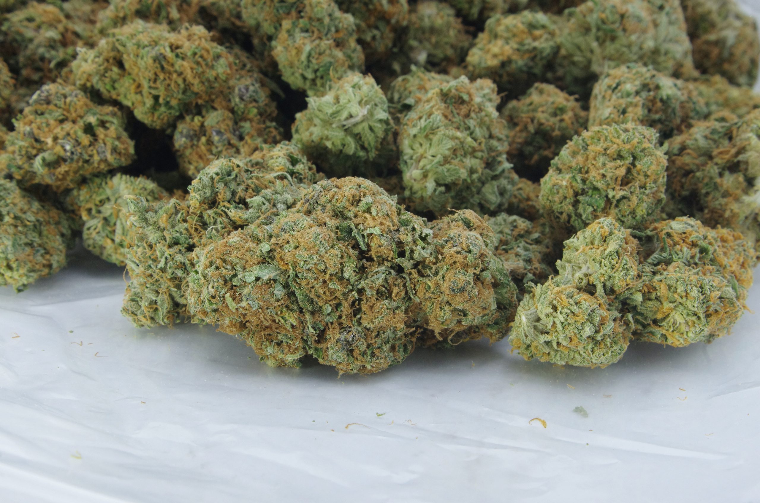 AK Grapefruit Oz Special All Strains anti-anxiety AK Grapefruit Oz Special All Strains anti-anxiety