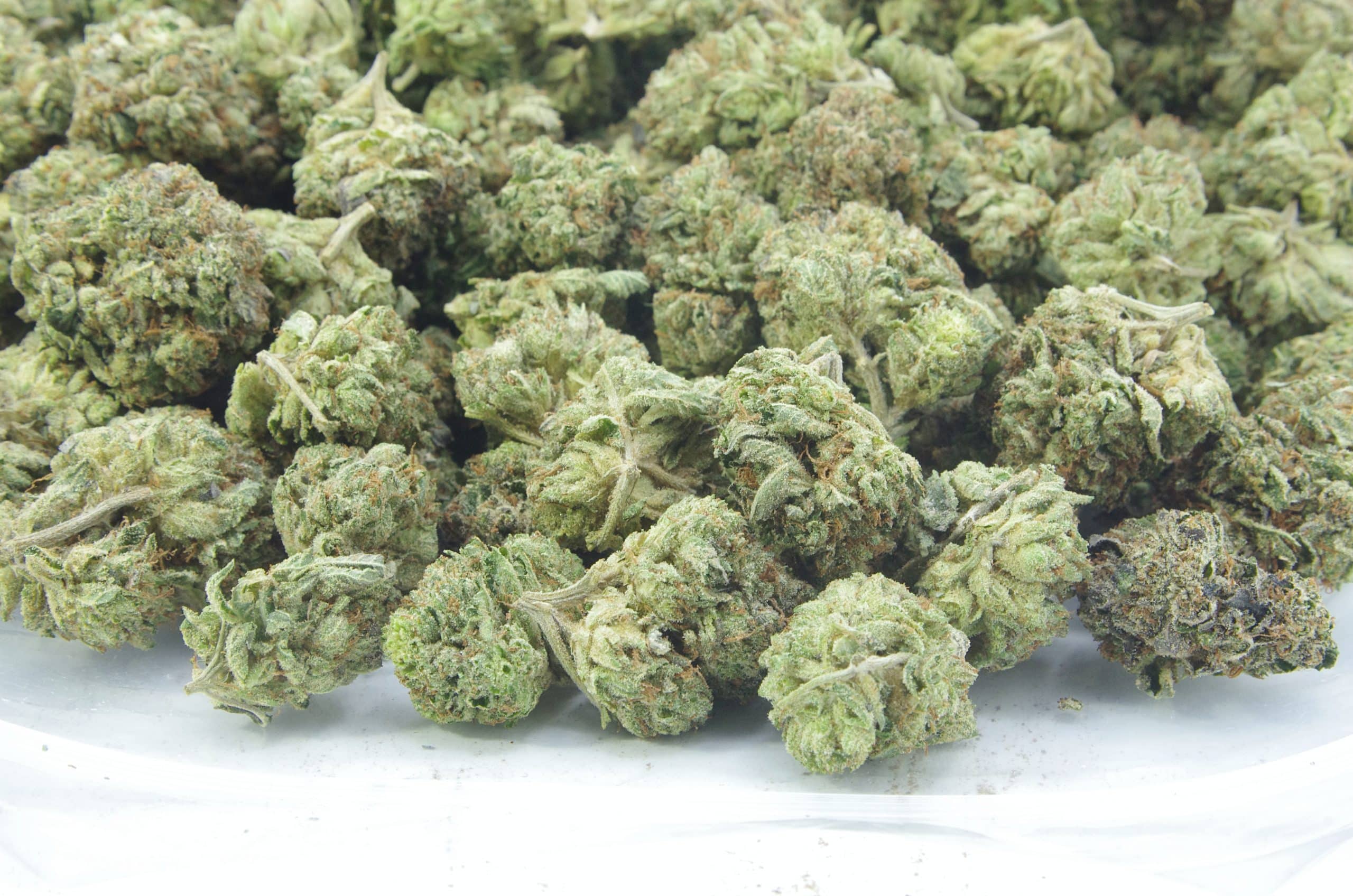 Afghani Kush (Oz Special) Indica anxiety Afghani Kush (Oz Special) Indica anxiety