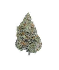 buy alien cookies online