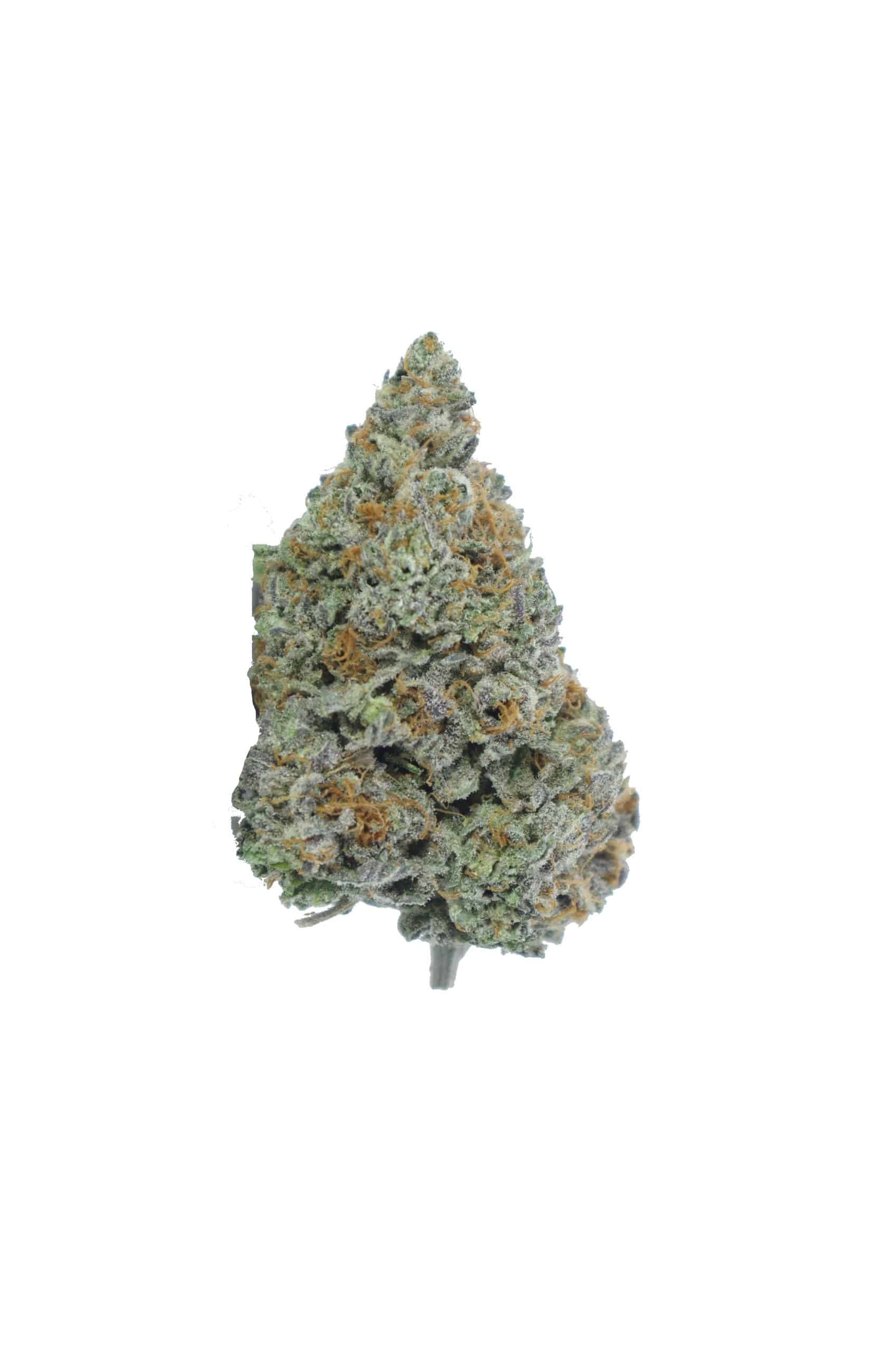 Alien Cookies (Oz Special) All Strains Alien Cookies (Oz Special) All Strains