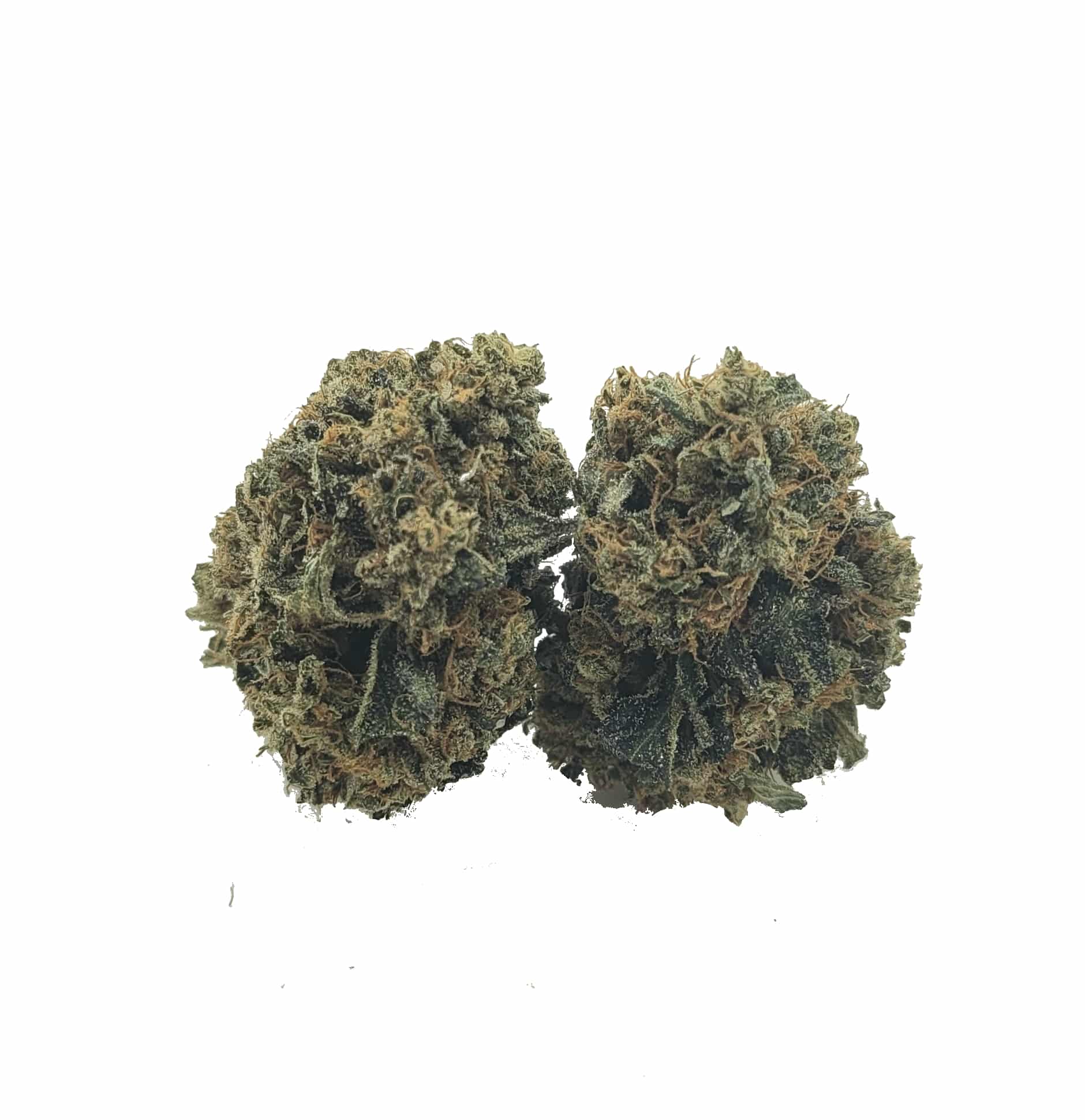 Pink Alien OG (Oz Special) Indica anxiety Pink Alien OG (Oz Special) Indica anxiety