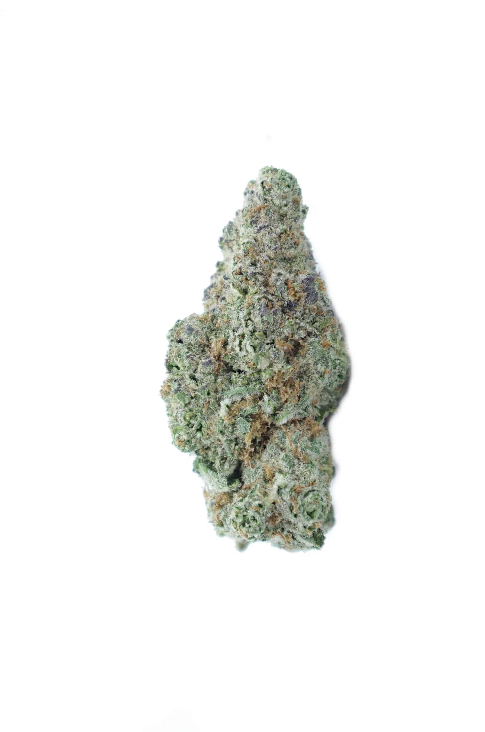Apples and Bananas (Oz Special) Hybrid anxiety Apples and Bananas (Oz Special) Hybrid anxiety