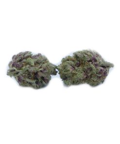 buy astro pop mids online