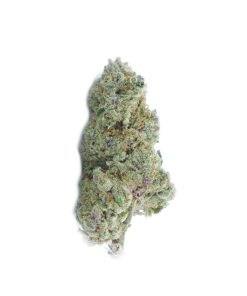 buy astro pop online
