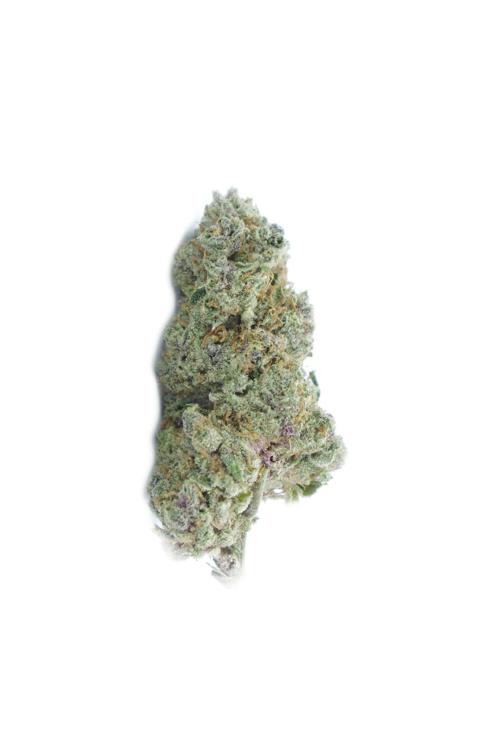 Astro Pop (Oz Special) Hybrid anti-anxiety Astro Pop (Oz Special) Hybrid anti-anxiety