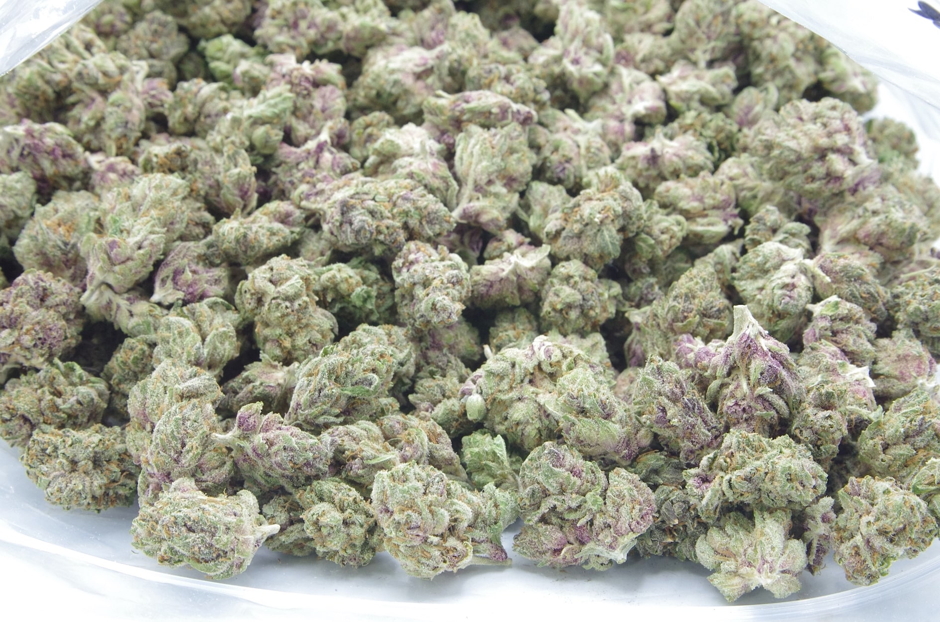 Astro Pop Mids (Oz Special) Hybrid anti-anxiety Astro Pop Mids (Oz Special) Hybrid anti-anxiety