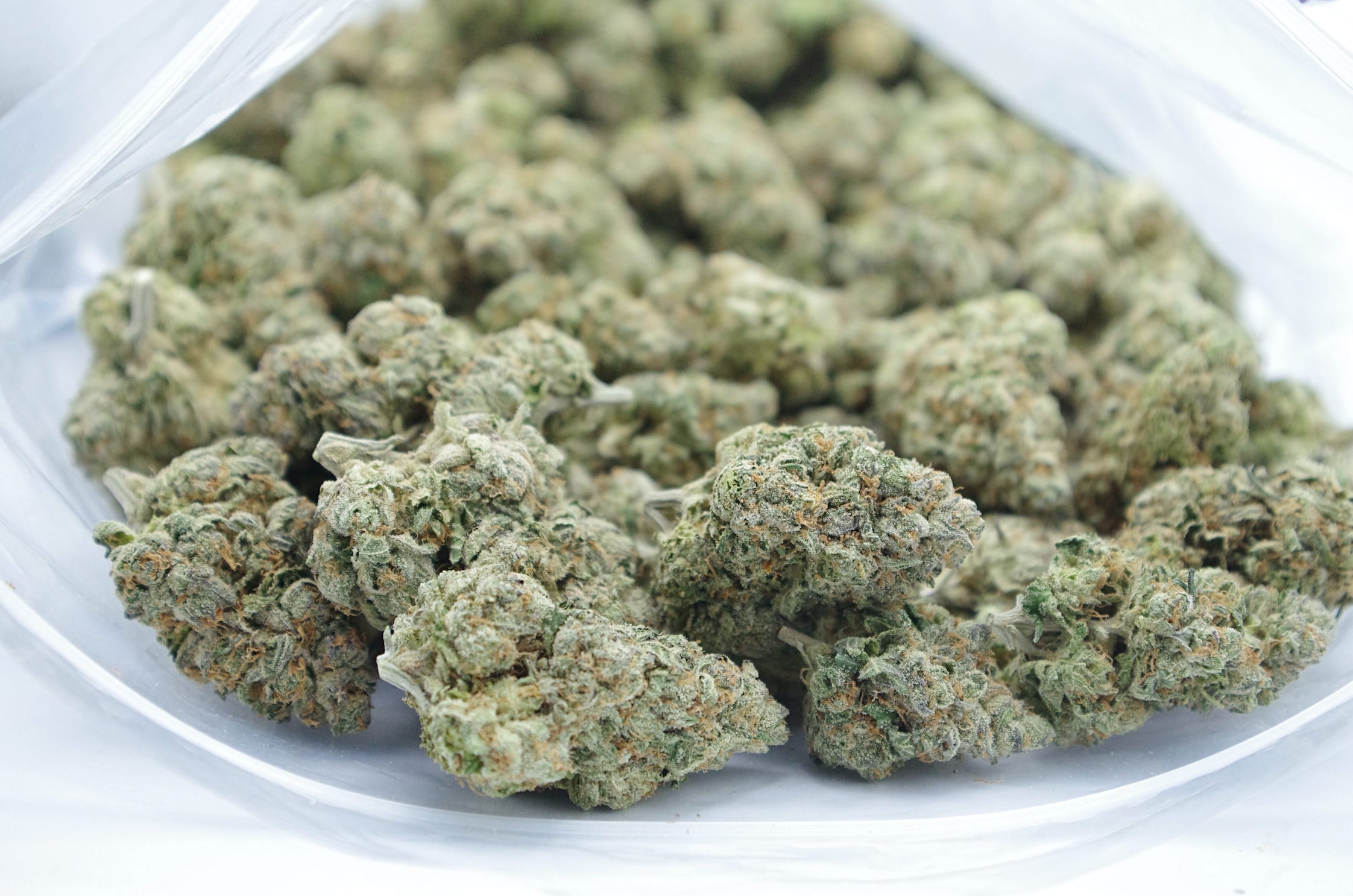 Ayahuasca Purple (Oz Special) Hybrid anti-anxiety Ayahuasca Purple (Oz Special) Hybrid anti-anxiety