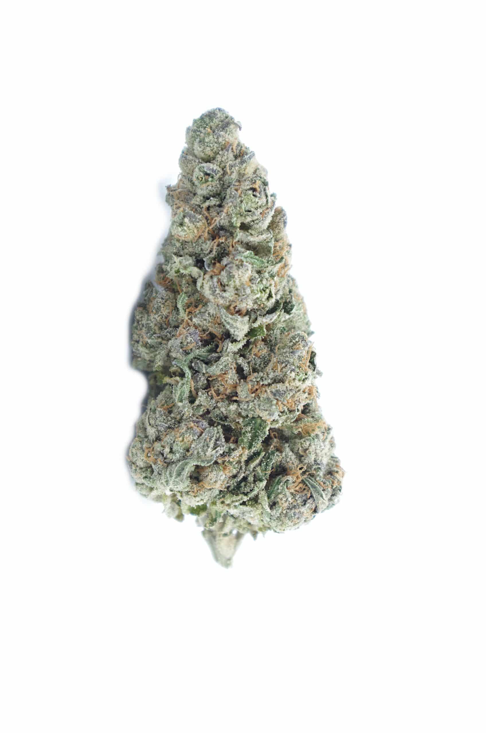 Ayahuasca Purple (Oz Special) Hybrid anti-anxiety Ayahuasca Purple (Oz Special) Hybrid anti-anxiety