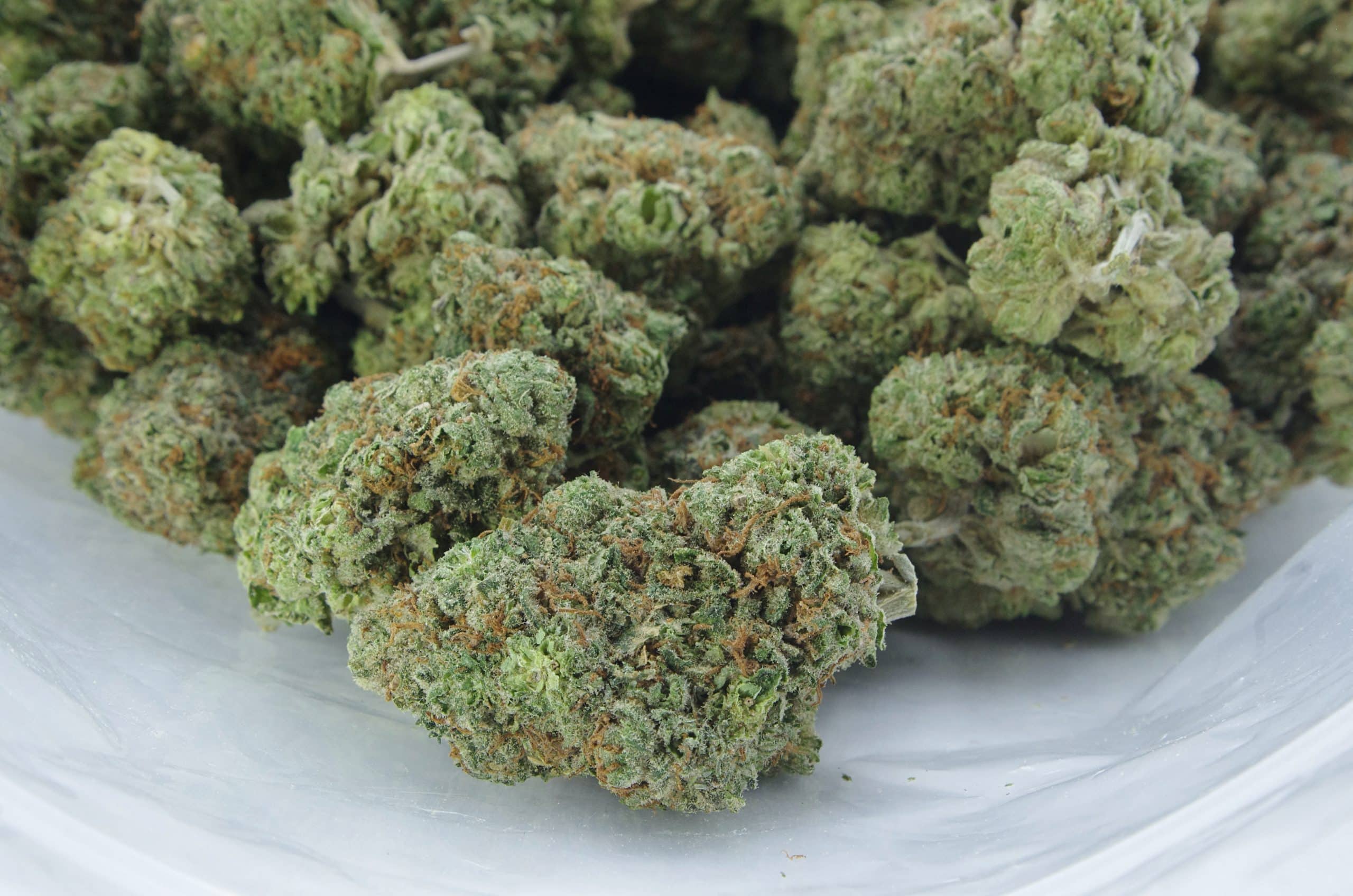 BC Roadkill (1/8th) Indica anti-anxiety BC Roadkill (1/8th) Indica anti-anxiety