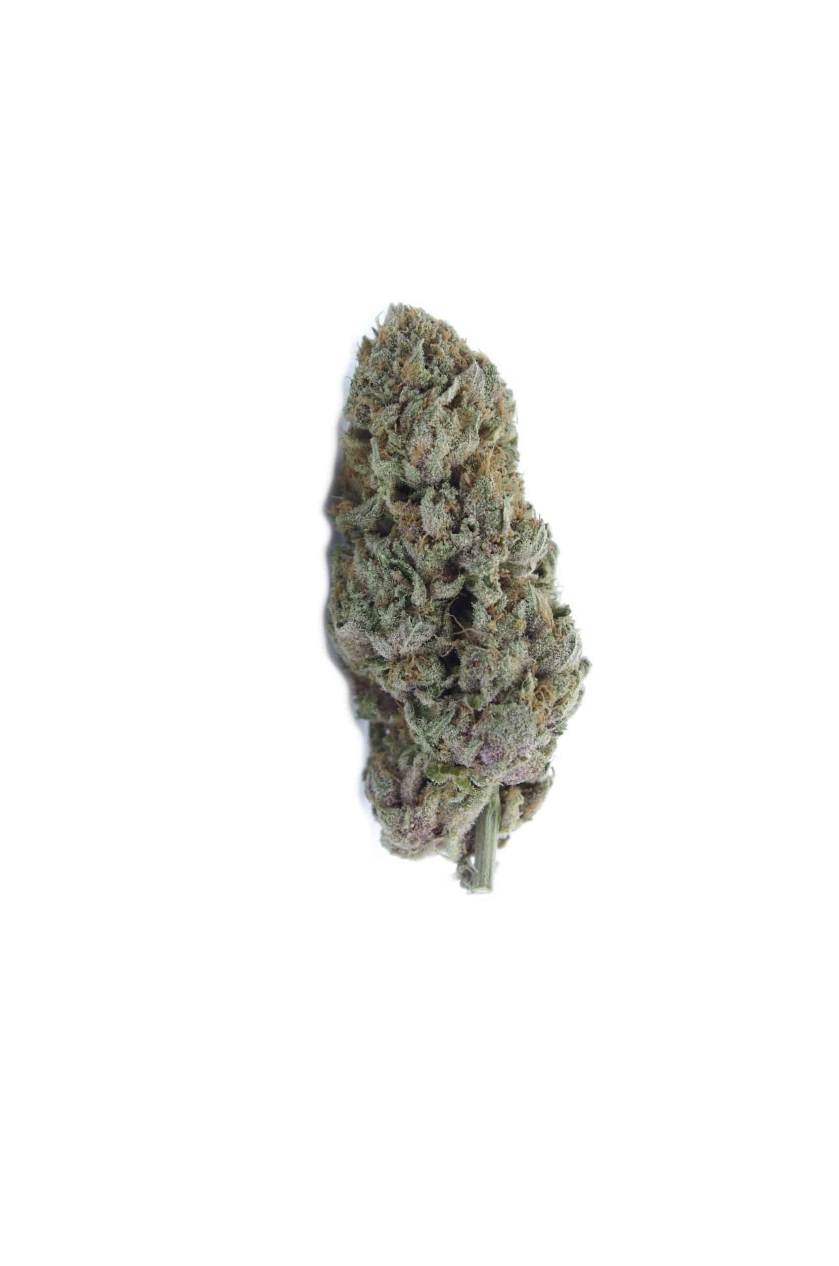 Banana Slamma All Strains Banana Slamma All Strains