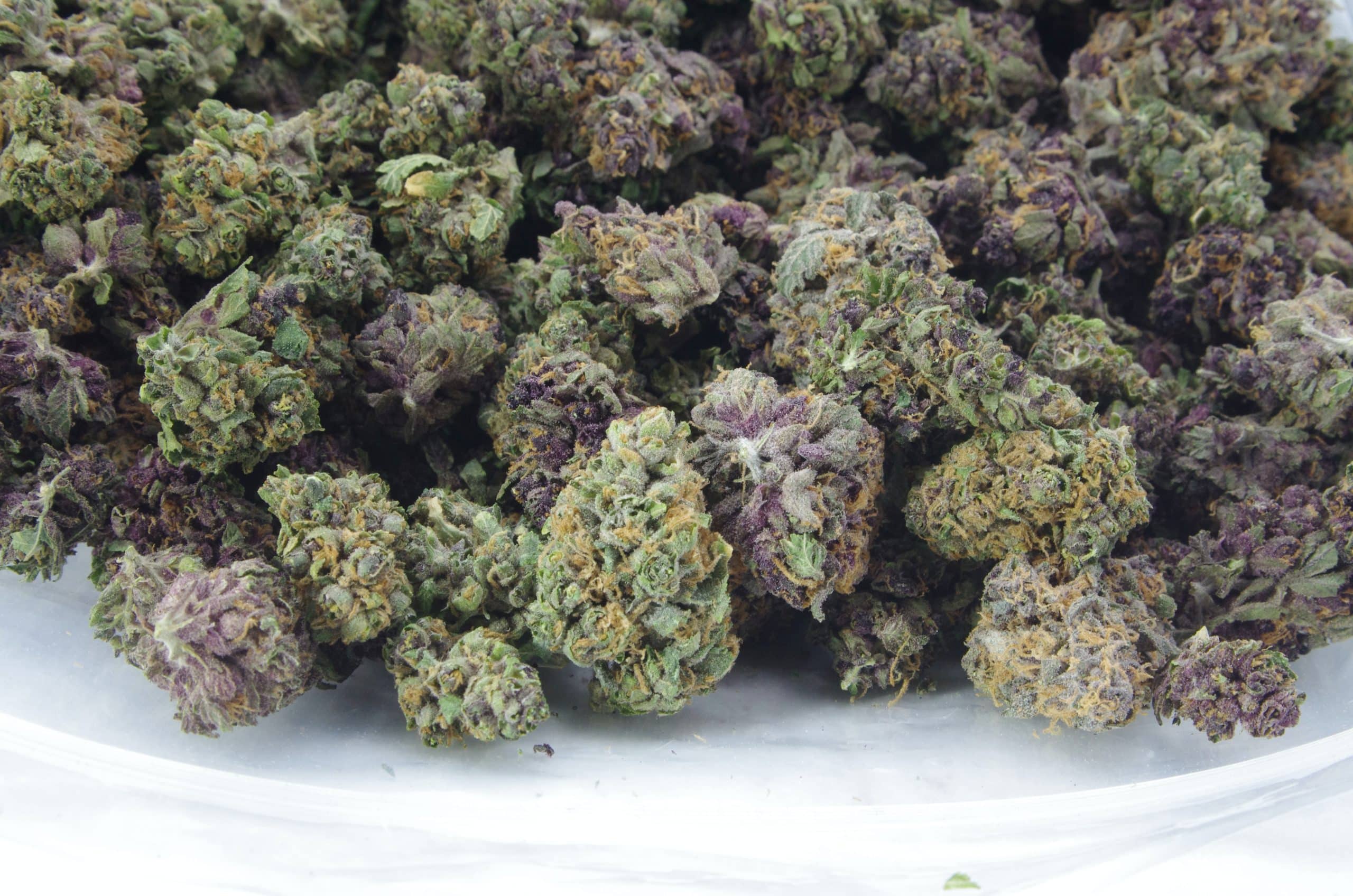 Berry Haze Mids (Oz Special) All Strains anti-anxiety Berry Haze Mids (Oz Special) All Strains anti-anxiety
