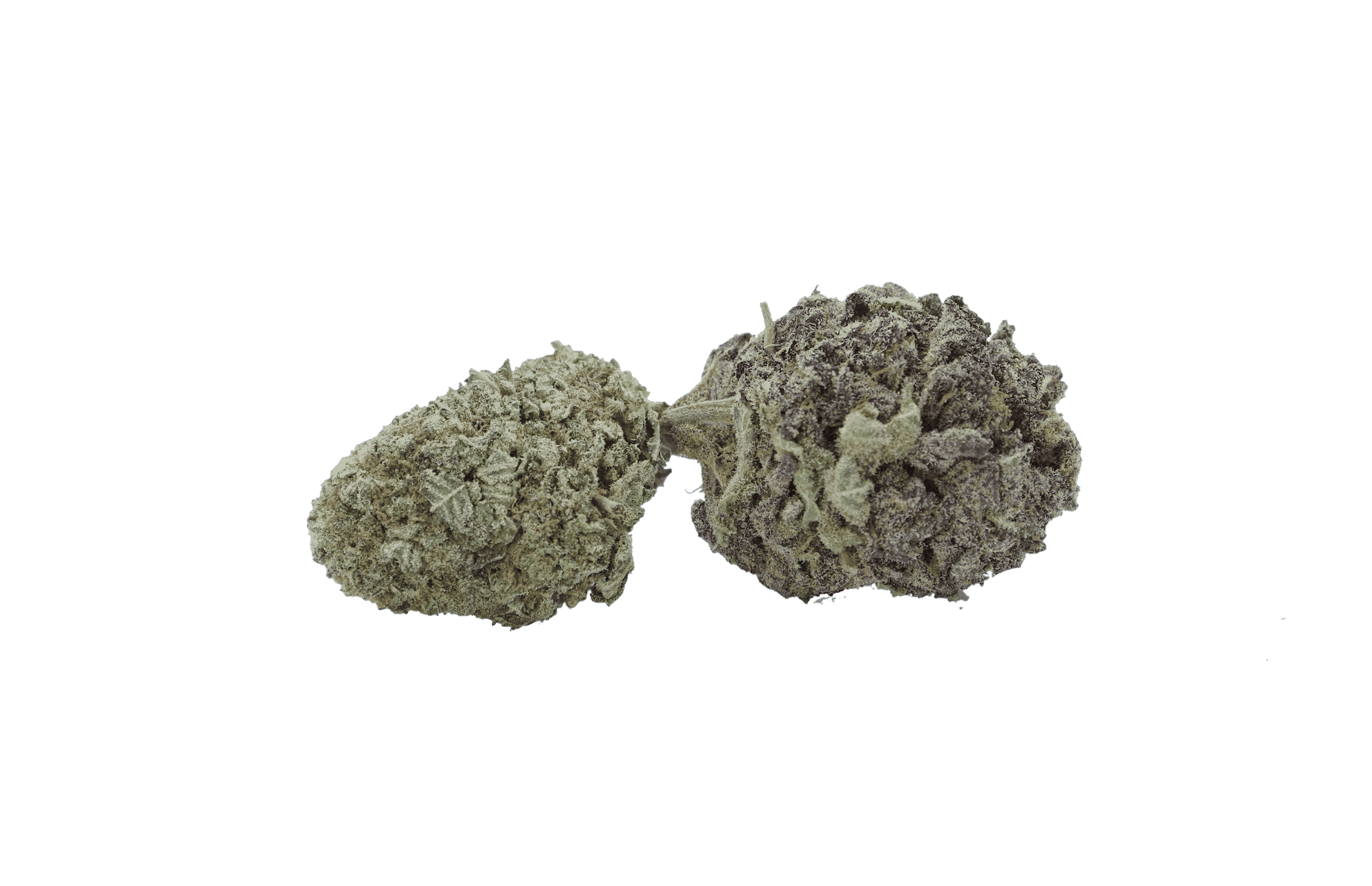 Black Diamond (Oz Special) Indica anti-anxiety Black Diamond (Oz Special) Indica anti-anxiety