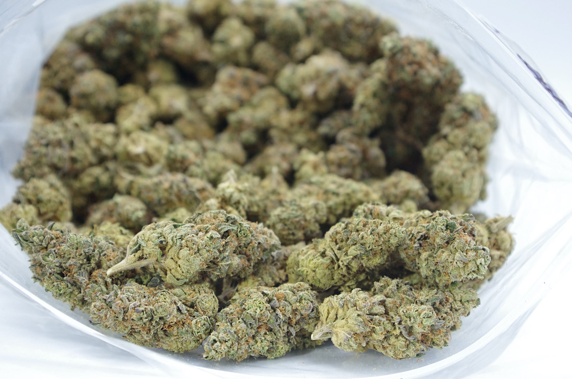 Blueberry (Oz Special) Indica anti-anxiety Blueberry (Oz Special) Indica anti-anxiety