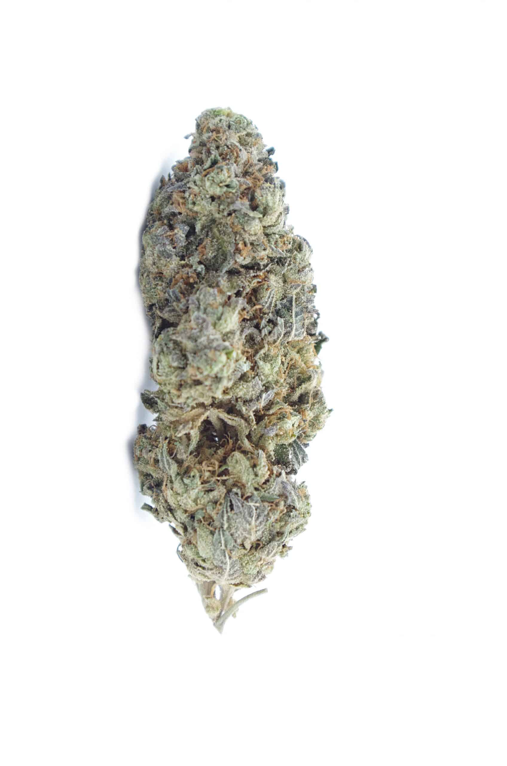Blueberry All Strains anti-anxiety Blueberry All Strains anti-anxiety