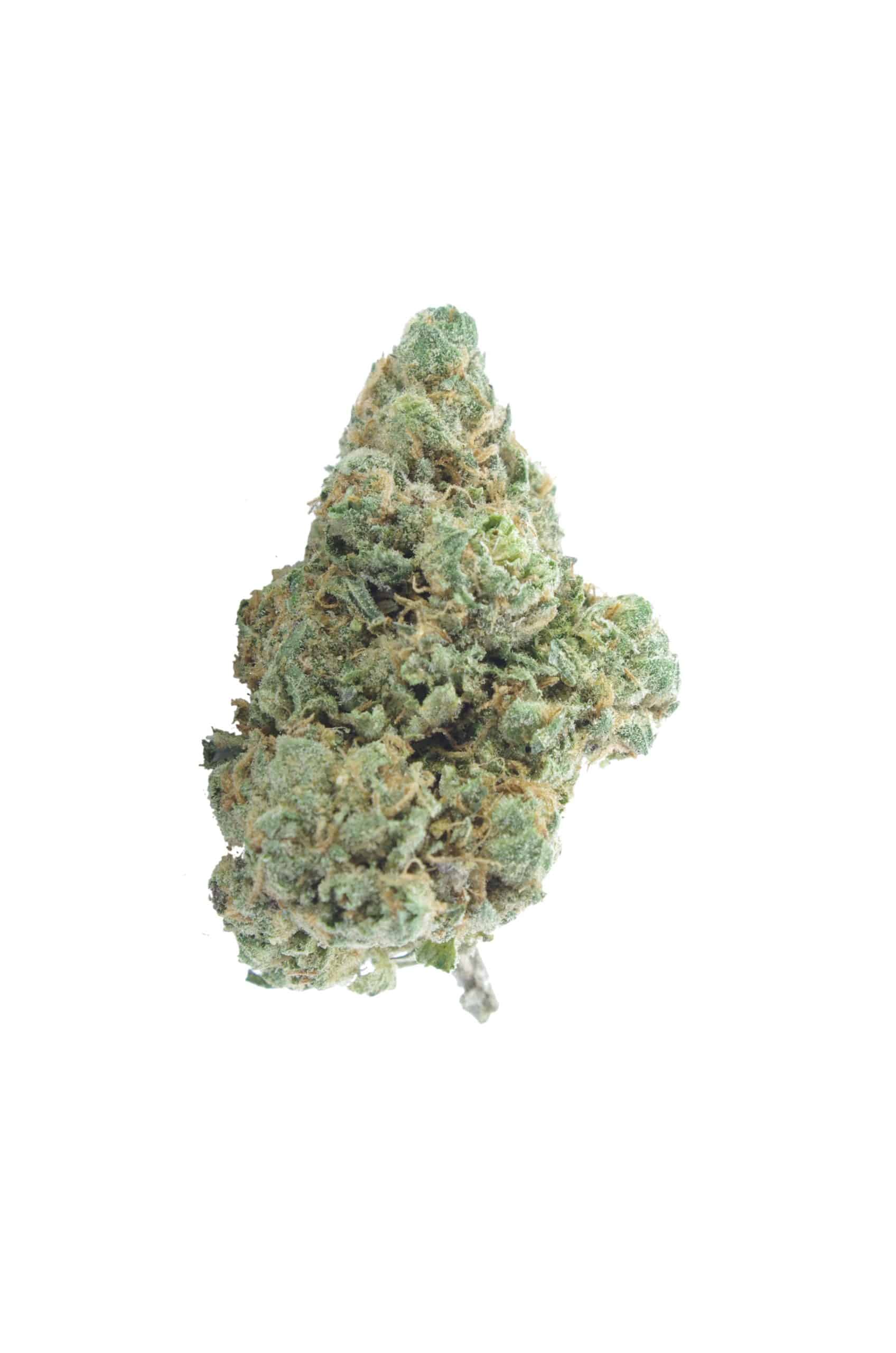 Blueberry Diesel All Strains anxiety Blueberry Diesel All Strains anxiety