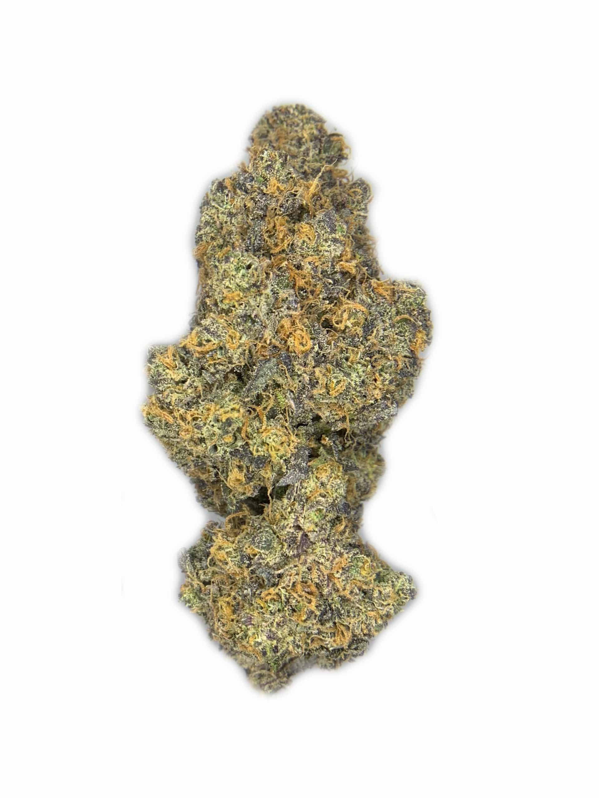 Bruce Banner (Oz Special) Hybrid anxiety Bruce Banner (Oz Special) Hybrid anxiety