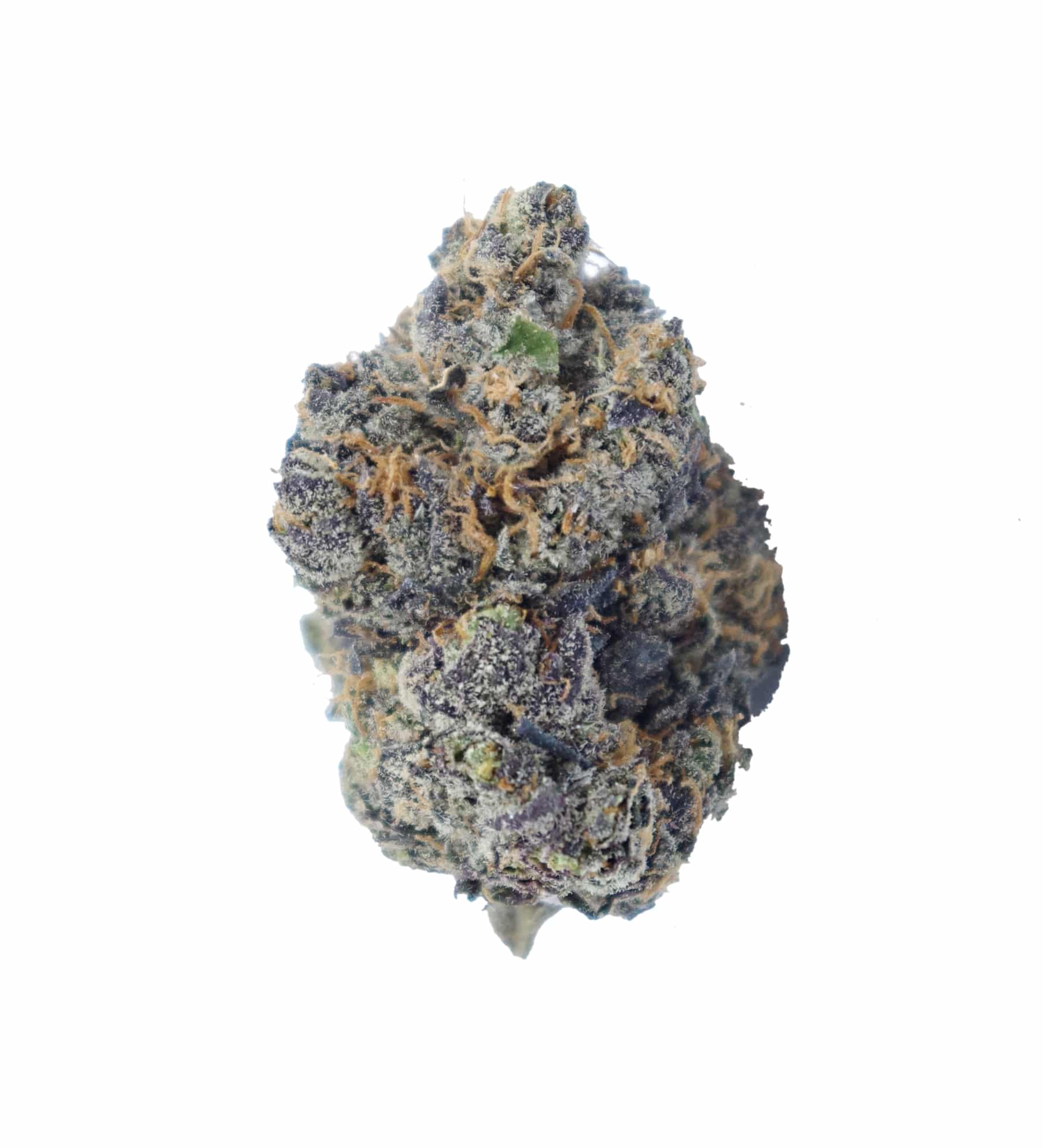 Buckin Runtz (Oz Special) Hybrid Buckin Runtz (Oz Special) Hybrid