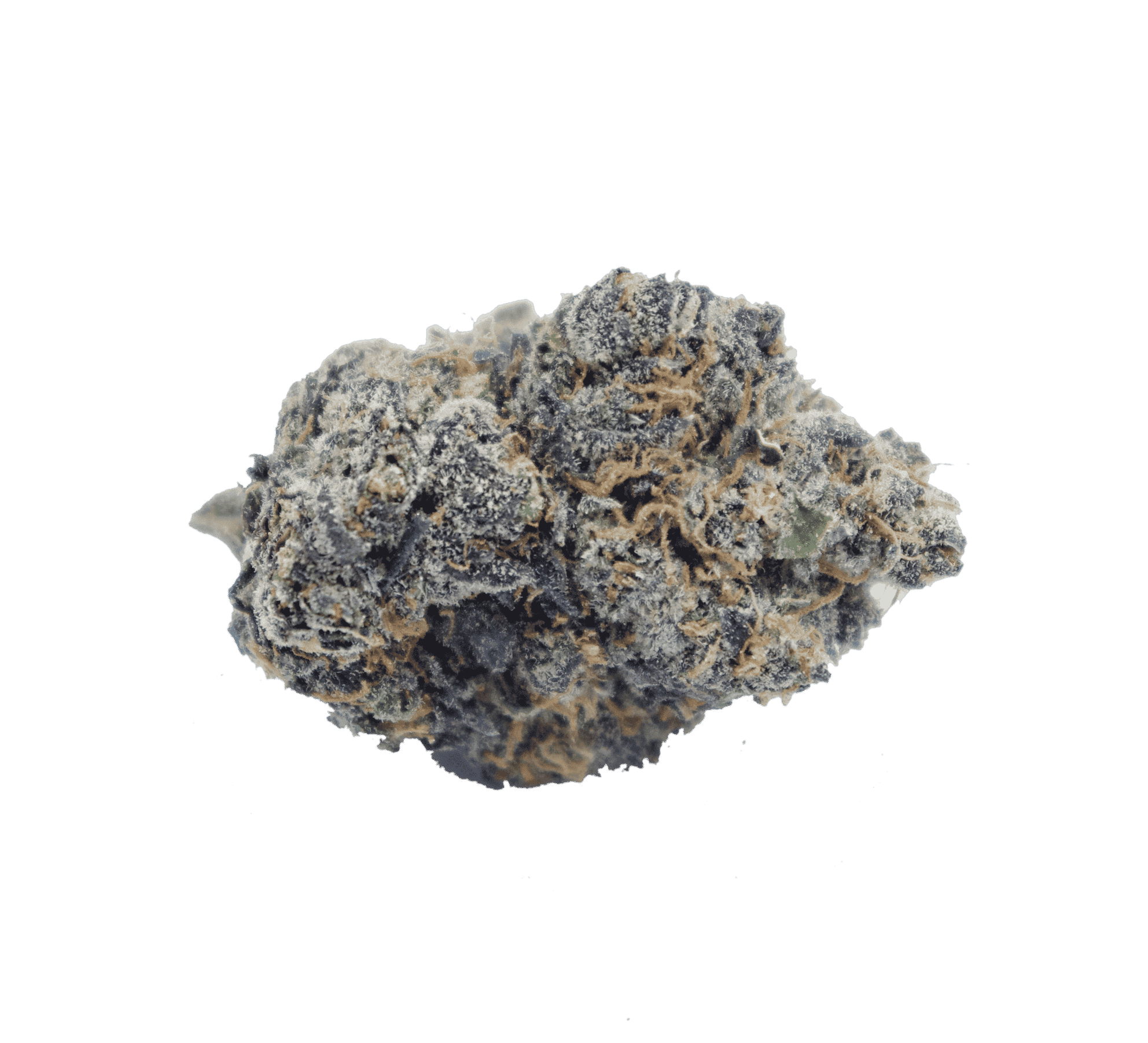 Buckin Runtz (Oz Special) Hybrid Buckin Runtz (Oz Special) Hybrid