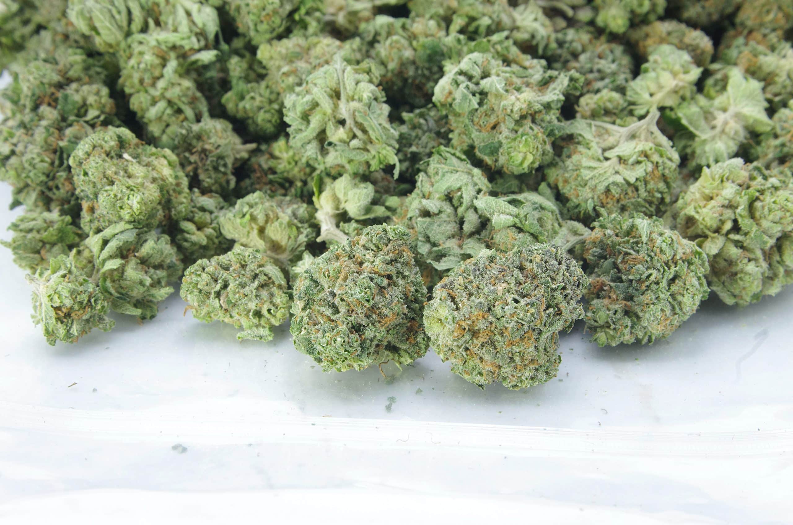 L.A Cake Smalls (Oz Special) All Strains anxiety L.A Cake Smalls (Oz Special) All Strains anxiety
