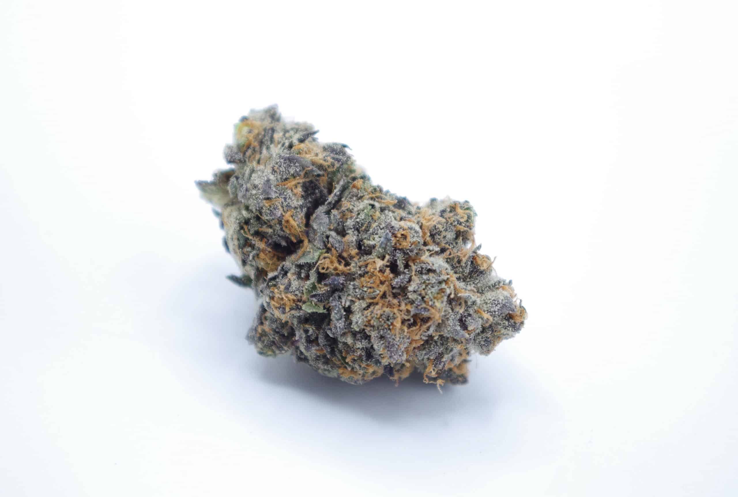 Cherry Kush Breath (Oz Special) Hybrid Cherry Kush Breath (Oz Special) Hybrid