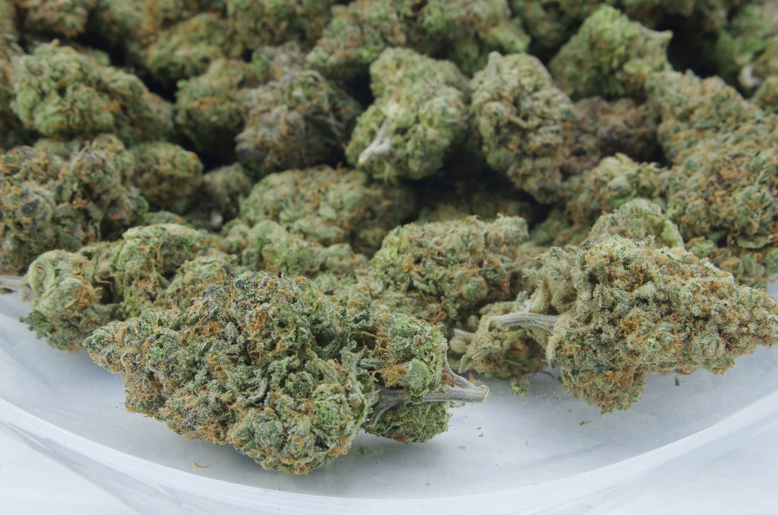 Candy Cake (Oz Special) All Strains Candy Cake (Oz Special) All Strains