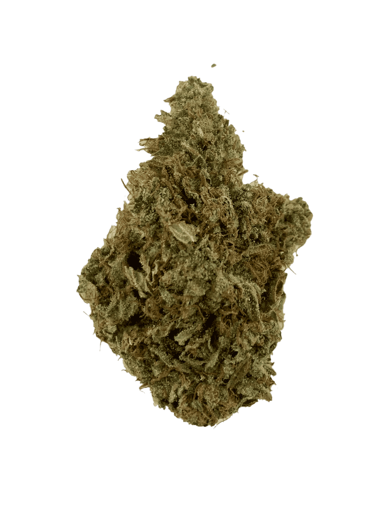 Cat Piss All Strains anxiety Cat Piss All Strains anxiety