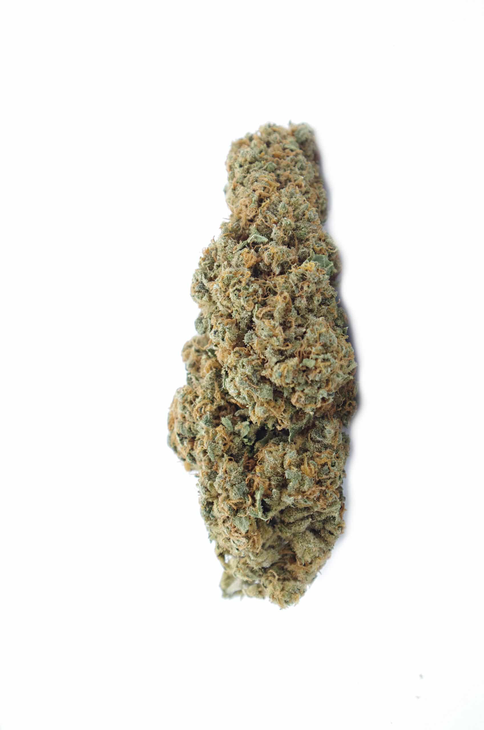 Charlottes Web CBD (Oz Special) All Strains Charlottes Web CBD (Oz Special) All Strains