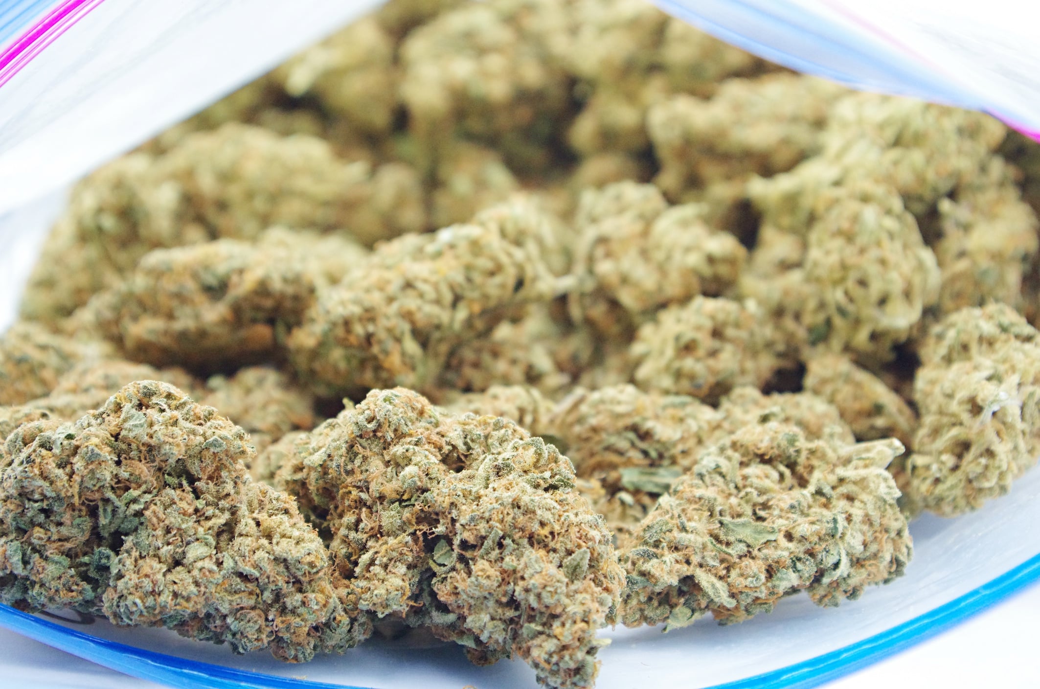 Charlottes Web CBD (Oz Special) All Strains Charlottes Web CBD (Oz Special) All Strains