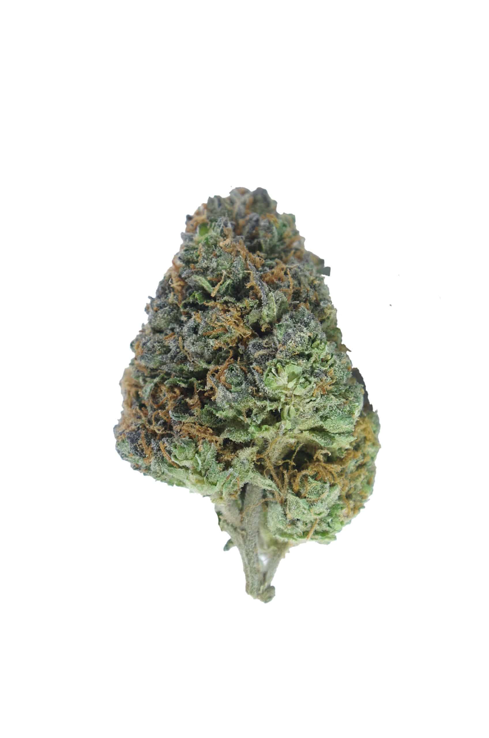 ChemDawg (Oz Special) Hybrid anxiety ChemDawg (Oz Special) Hybrid anxiety