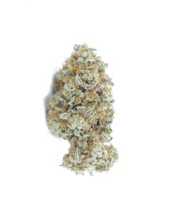 buy cherry pie online
