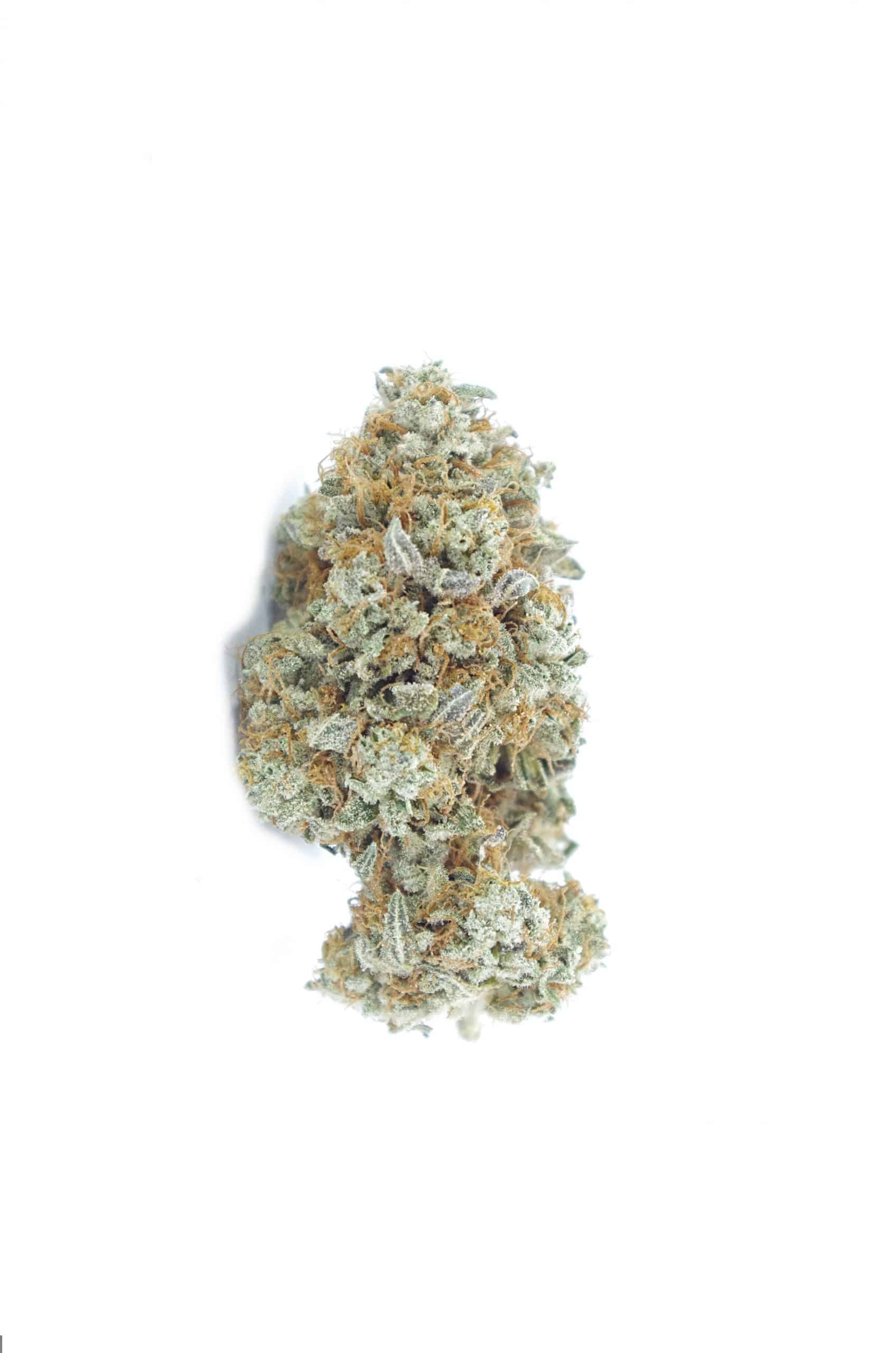Cherry Pie (Oz Special) Hybrid anti-anxiety Cherry Pie (Oz Special) Hybrid anti-anxiety